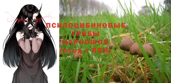 мяу мяу мука Белоозёрский
